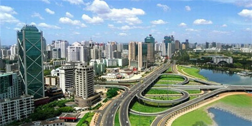 亦花亦果答案茶