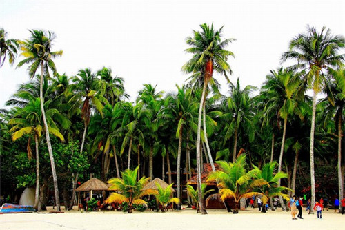 鱼鲜人家鱼火锅