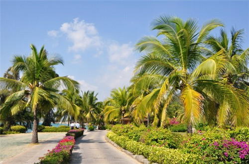 很范鲍汁脱骨鸡