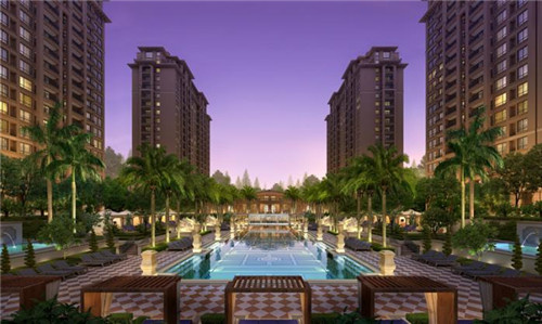 喵想吃金汤酸菜鱼