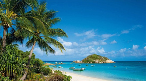 新西兰牛奶加盟费多少钱，新西兰牛奶厂