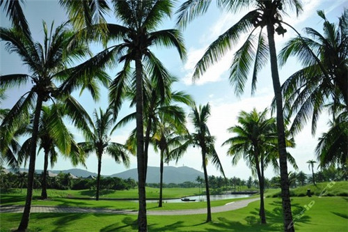 黄陂哪个景点最远呢（黄陂八大景点哪个最好）