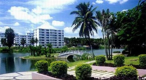 方糖小表女士手表（方糖手表怎么戴）