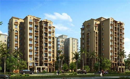 白玉米适合炒吗孕妇吃（孕妇能吃白玉米粥吗）