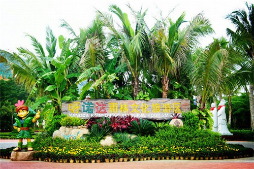 泰迪公司取名字怎么取的（给泰迪狗起个名字公）