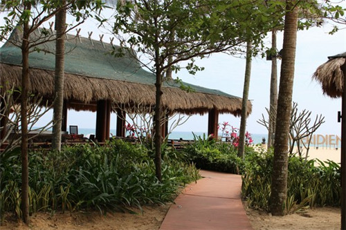 胡歌博客是什么公司（胡歌博客是什么公司做的）