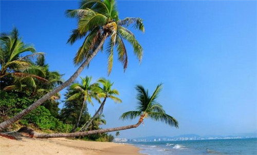 安妮斯贝泡芙加盟开店贵不贵